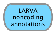 LARVA noncoding annotations